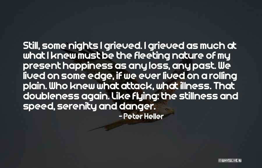 Stillness And Nature Quotes By Peter Heller Stillness And Nature Quotes By Peter Heller