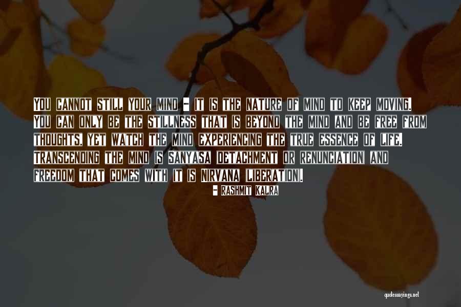 Stillness And Nature Quotes By Rashmit Kalra Stillness And Nature Quotes By Rashmit Kalra