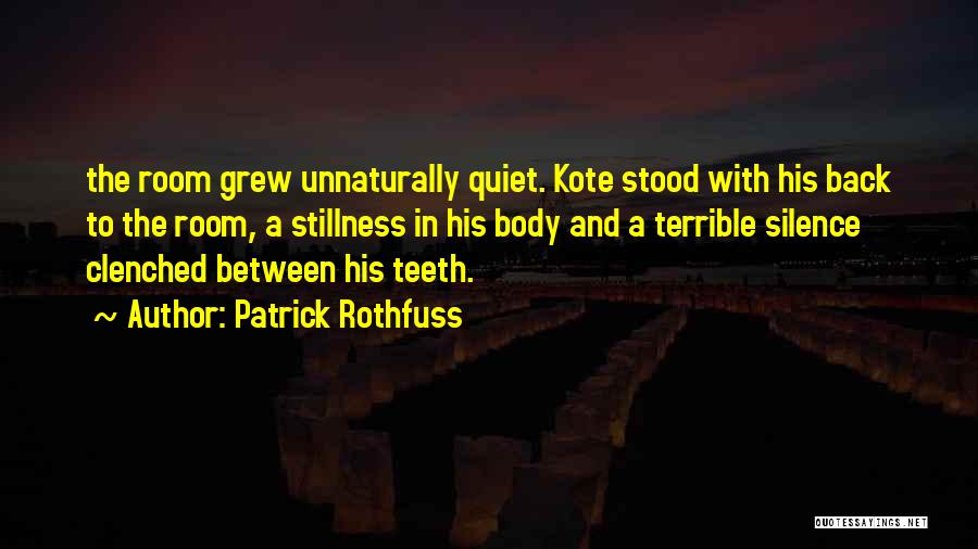 Stillness And Quiet Quotes By Patrick Rothfuss