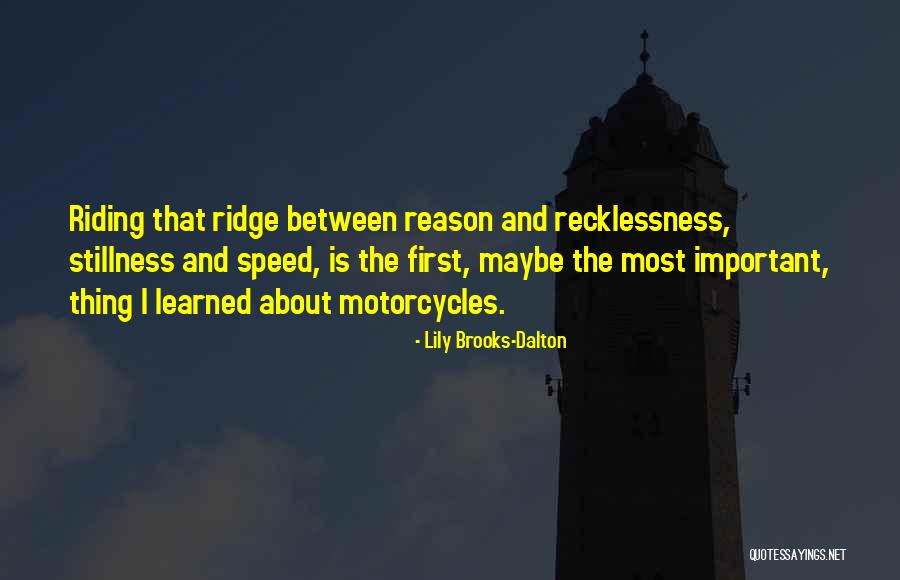 Stillness And Speed Quotes By Lily Brooks-Dalton