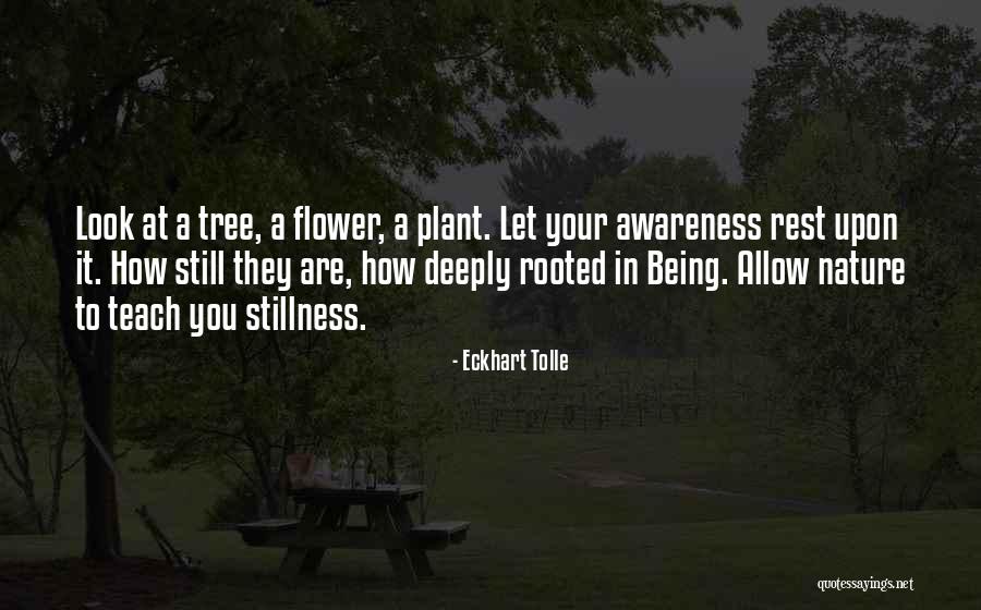 Stillness Nature Quotes By Eckhart Tolle Stillness Nature Quotes By Eckhart Tolle