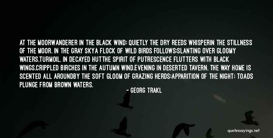 Stillness Nature Quotes By Georg Trakl Stillness Nature Quotes By Georg Trakl