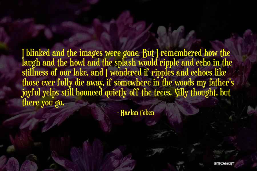 Stillness Nature Quotes By Harlan Coben Stillness Nature Quotes By Harlan Coben