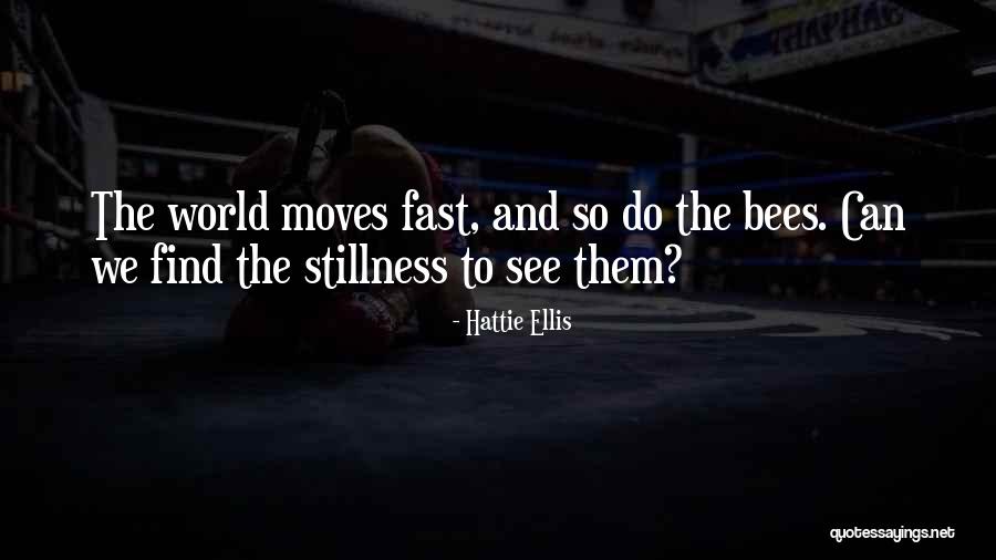 Stillness Nature Quotes By Hattie Ellis