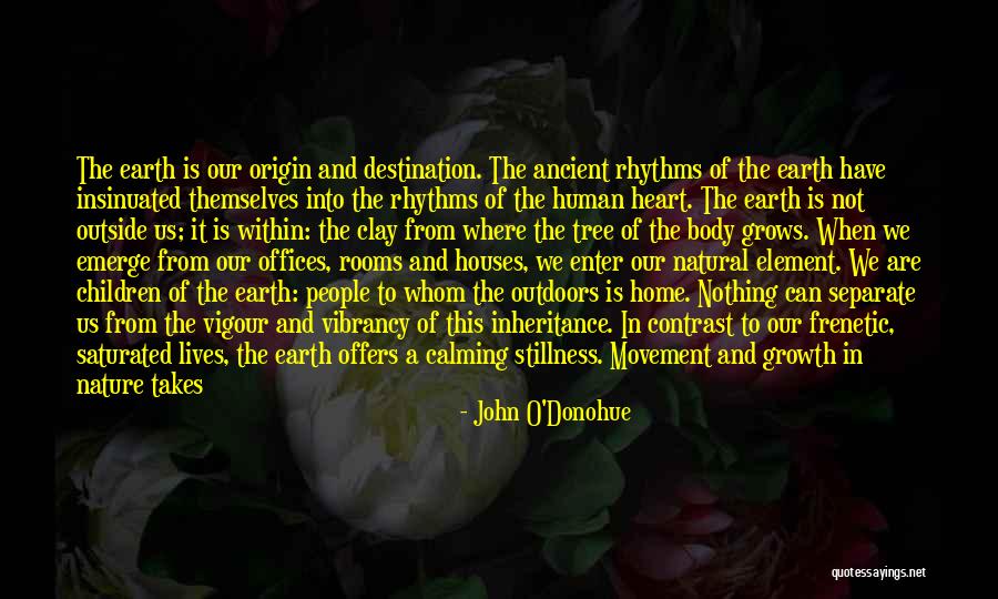 Stillness Nature Quotes By John O'Donohue Stillness Nature Quotes By John O'Donohue