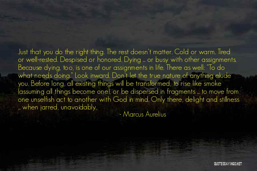 Stillness Nature Quotes By Marcus Aurelius Stillness Nature Quotes By Marcus Aurelius