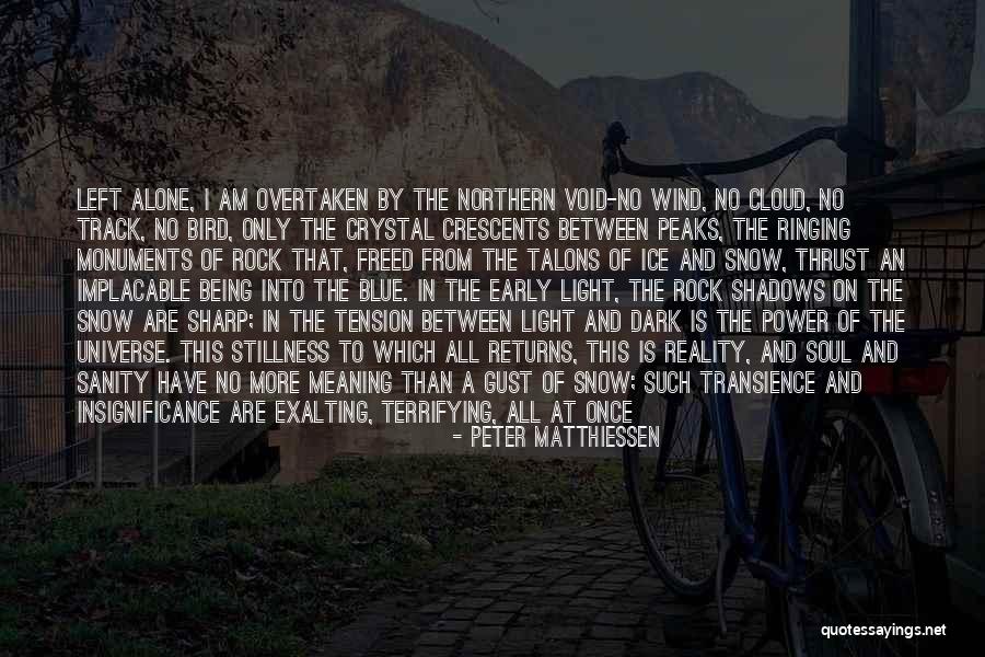 Stillness Nature Quotes By Peter Matthiessen Stillness Nature Quotes By Peter Matthiessen