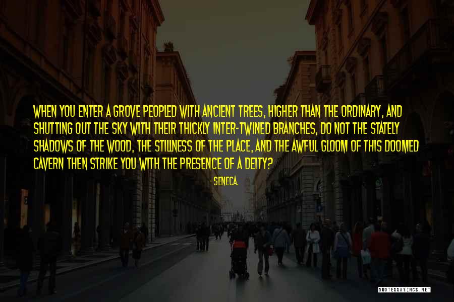 Stillness Nature Quotes By Seneca. Stillness Nature Quotes By Seneca.