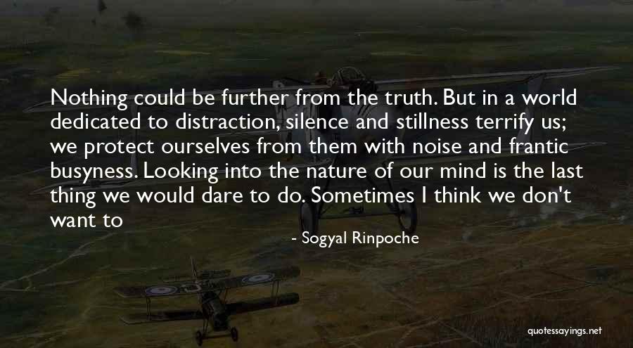 Stillness Nature Quotes By Sogyal Rinpoche Stillness Nature Quotes By Sogyal Rinpoche