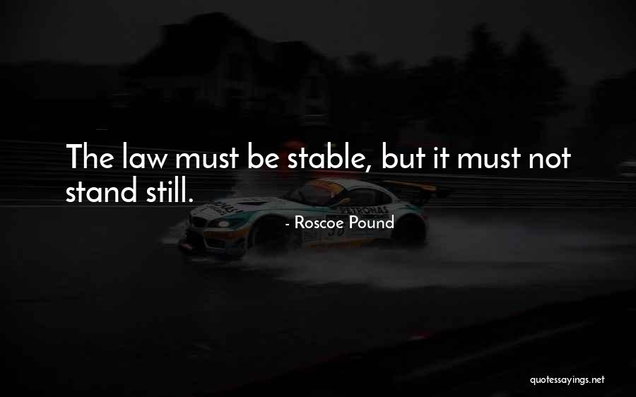 Stills Quotes By Roscoe Pound Stills Quotes By Roscoe Pound