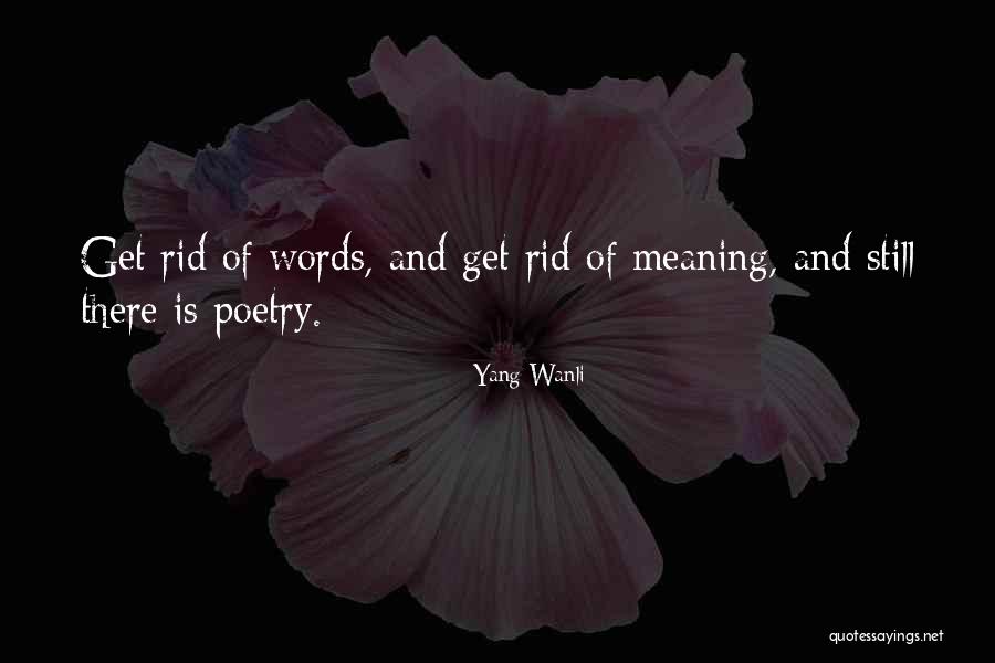 Stills Quotes By Yang Wanli Stills Quotes By Yang Wanli