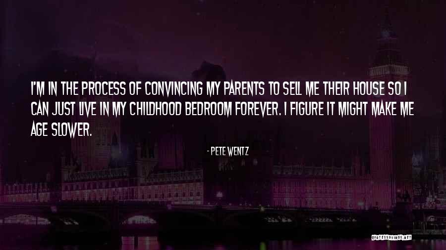 Stillsuit Subnautica Quotes By Pete Wentz Stillsuit Subnautica Quotes By Pete Wentz