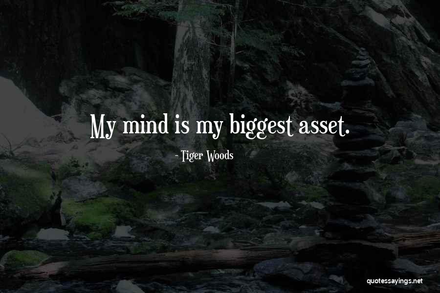 Stimate Copay Quotes By Tiger Woods Stimate Copay Quotes By Tiger Woods
