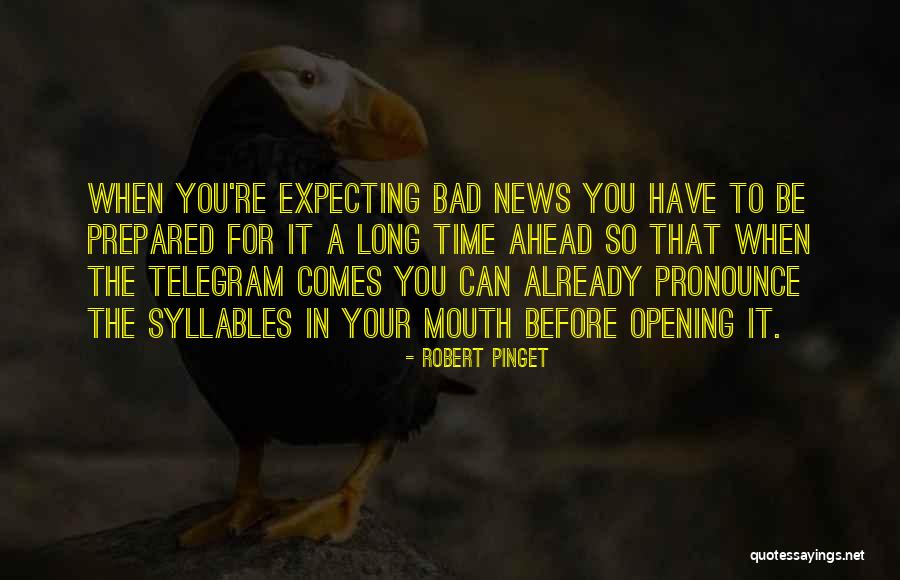 Stimmt 2 Quotes By Robert Pinget Stimmt 2 Quotes By Robert Pinget