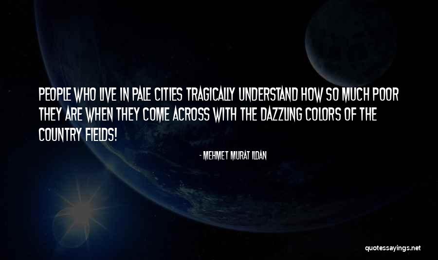 Stimpson Scale Quotes By Mehmet Murat Ildan Stimpson Scale Quotes By Mehmet Murat Ildan