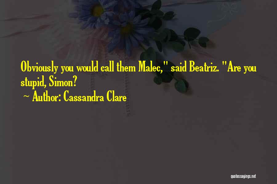 Stimulanspremie Quotes By Cassandra Clare