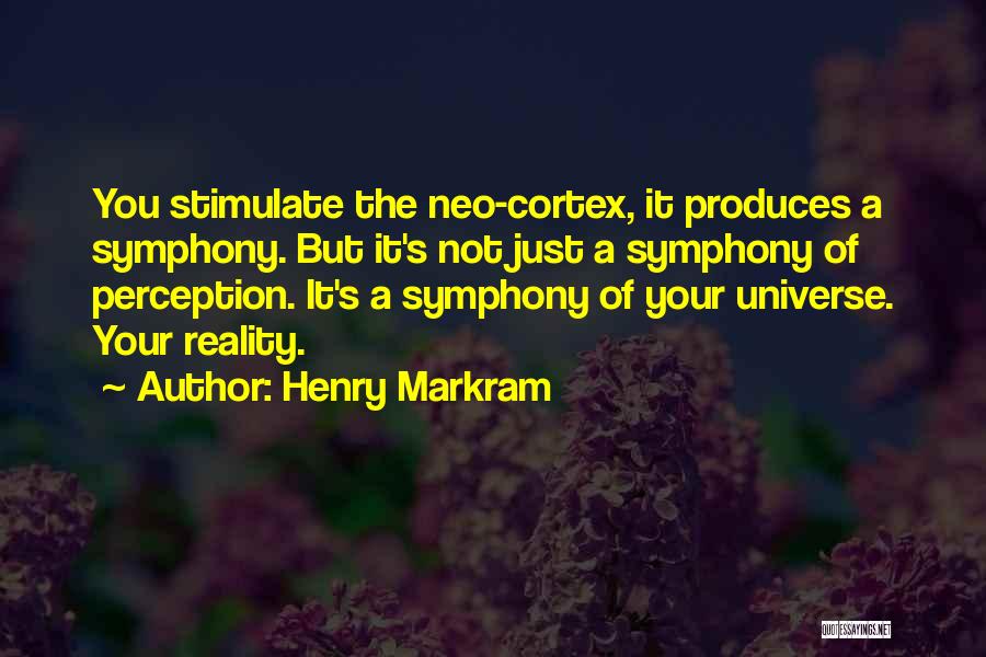 Stimulate Quotes By Henry Markram