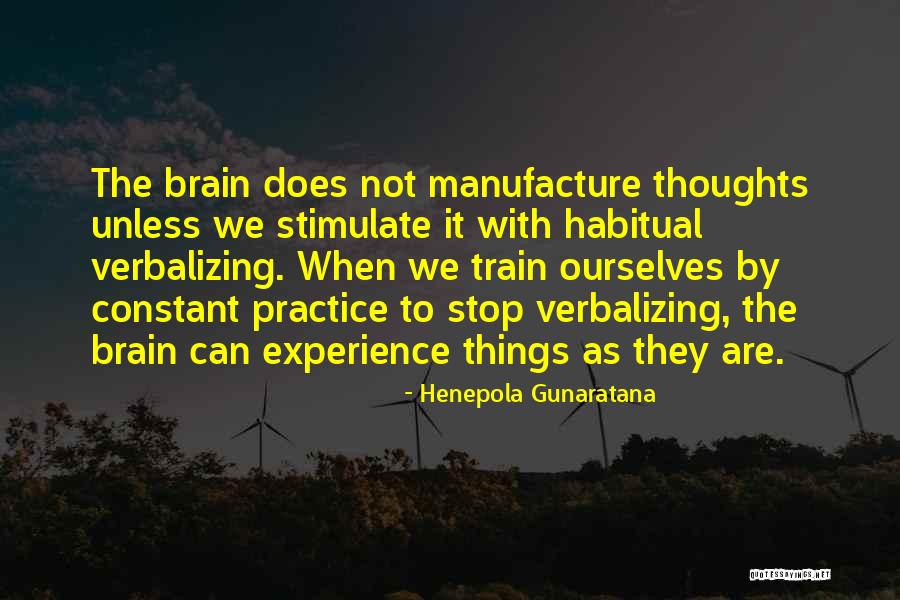 Stimulate Your Brain Quotes By Henepola Gunaratana Stimulate Your Brain Quotes By Henepola Gunaratana