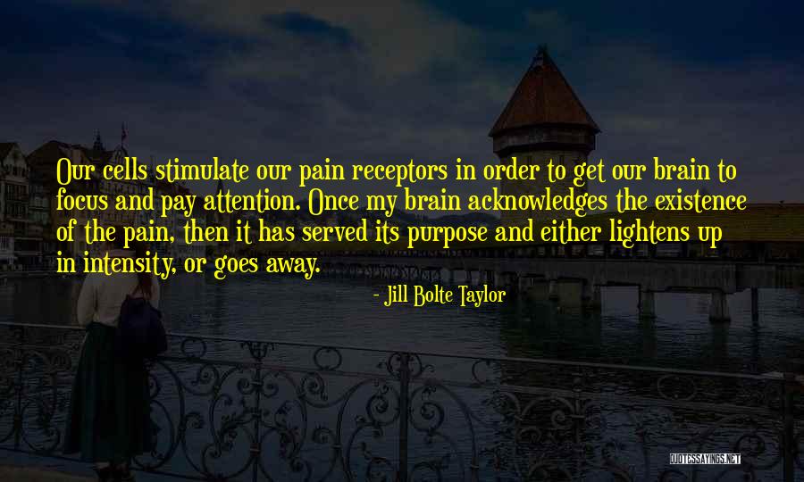 Stimulate Your Brain Quotes By Jill Bolte Taylor Stimulate Your Brain Quotes By Jill Bolte Taylor