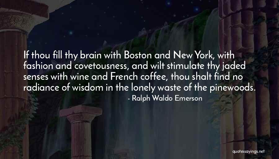 Stimulate Your Brain Quotes By Ralph Waldo Emerson Stimulate Your Brain Quotes By Ralph Waldo Emerson