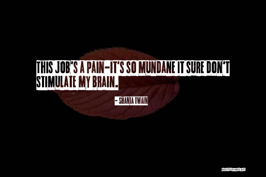 Stimulate Your Brain Quotes By Shania Twain Stimulate Your Brain Quotes By Shania Twain