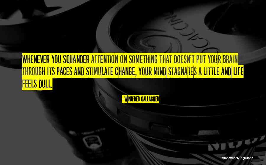 Stimulate Your Brain Quotes By Winifred Gallagher Stimulate Your Brain Quotes By Winifred Gallagher