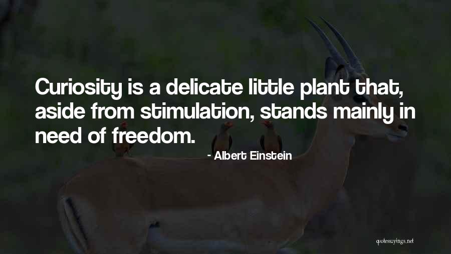 Stimulation Quotes By Albert Einstein