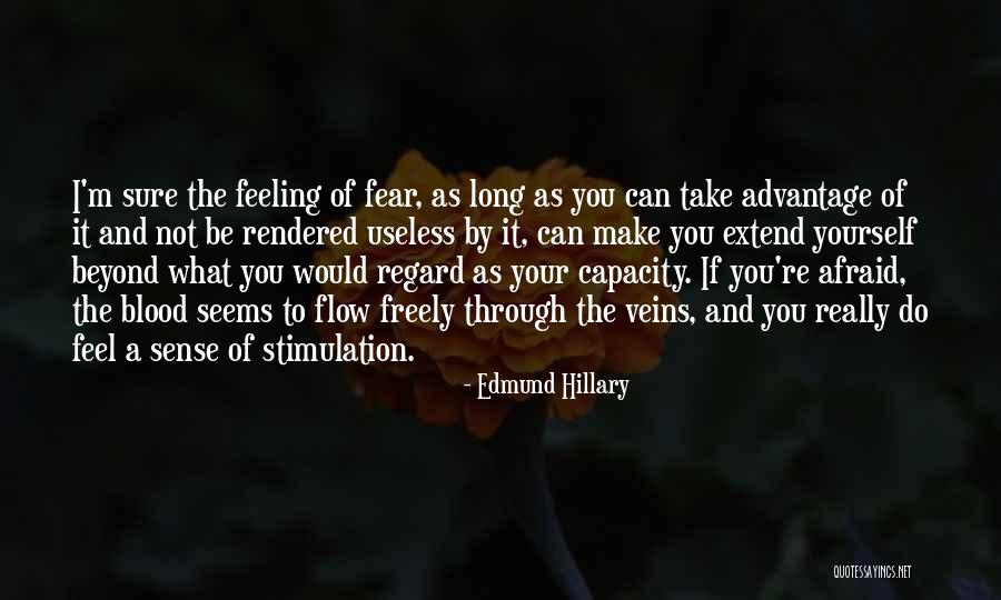 Stimulation Quotes By Edmund Hillary