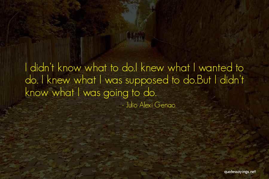 Stimulative Monetary Quotes By Julio Alexi Genao Stimulative Monetary Quotes By Julio Alexi Genao