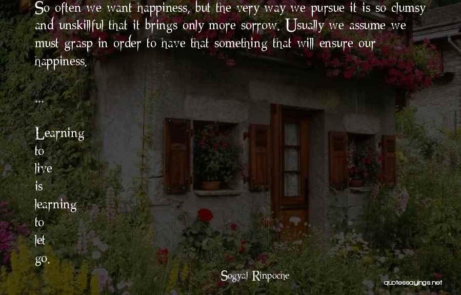 Stimulator Implant Quotes By Sogyal Rinpoche Stimulator Implant Quotes By Sogyal Rinpoche