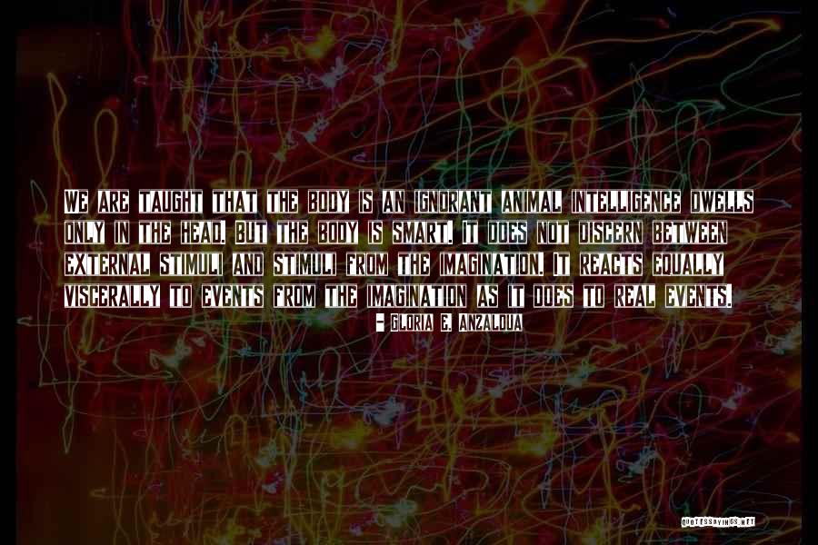 Stimuli Quotes By Gloria E. Anzaldua Stimuli Quotes By Gloria E. Anzaldua