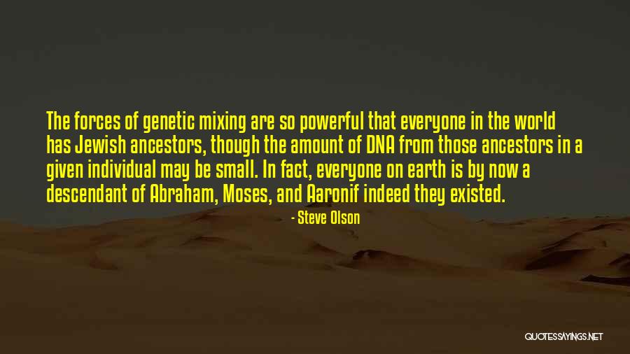 Stinebaugh Co Quotes By Steve Olson Stinebaugh Co Quotes By Steve Olson