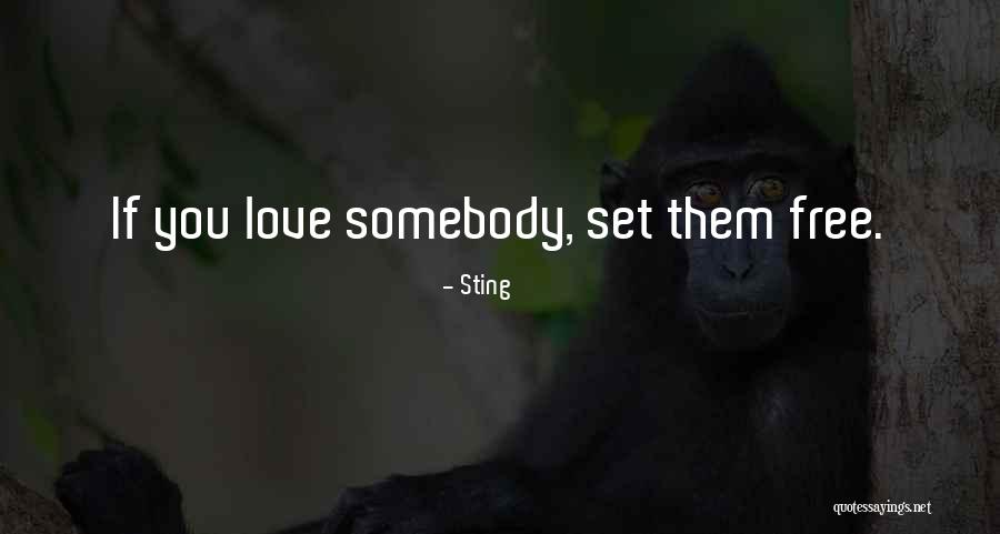 Sting Quotes 1525457