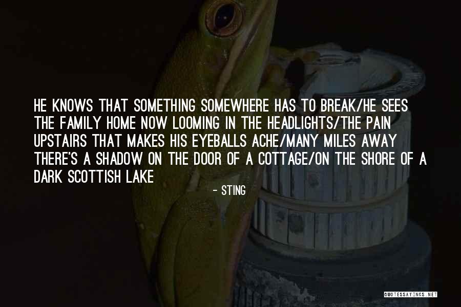 Sting Quotes 960597 Sting Quotes 960597