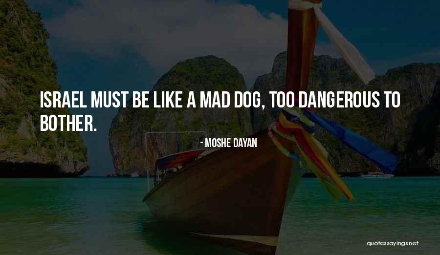 Stingers Cahokia Quotes By Moshe Dayan Stingers Cahokia Quotes By Moshe Dayan