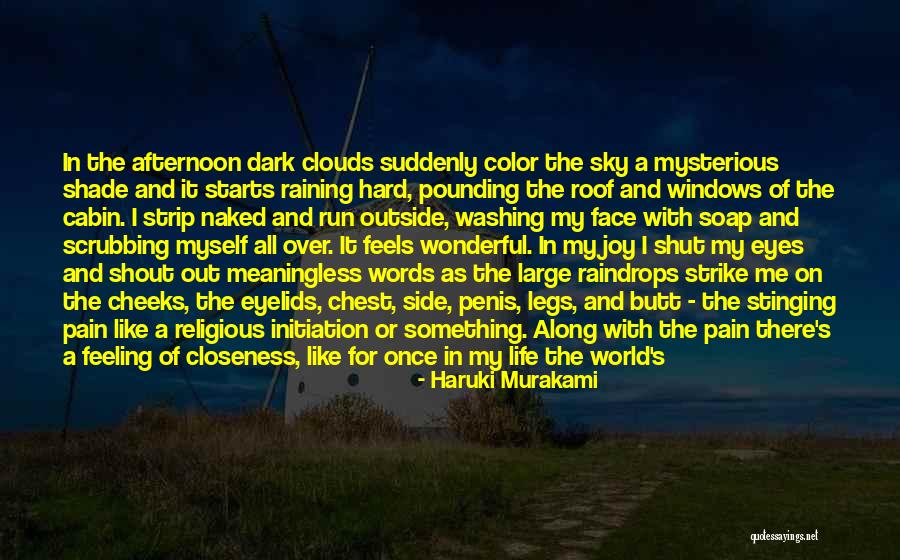 Stinging Chest Pain Quotes By Haruki Murakami Stinging Chest Pain Quotes By Haruki Murakami