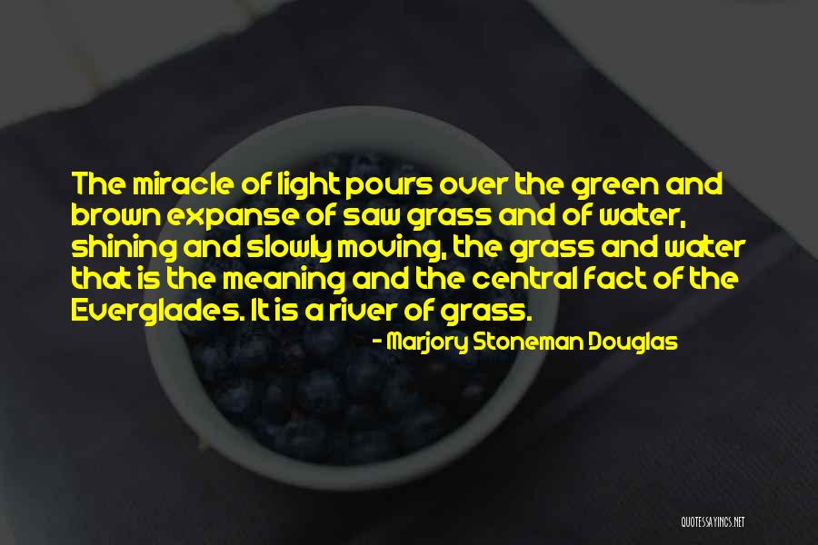 Stingless Wasps Quotes By Marjory Stoneman Douglas Stingless Wasps Quotes By Marjory Stoneman Douglas