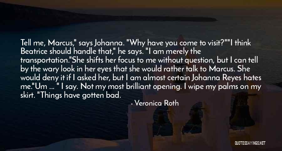 Stippa Pinata Quotes By Veronica Roth Stippa Pinata Quotes By Veronica Roth