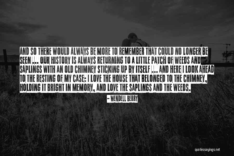 Stipulating Define Quotes By Wendell Berry Stipulating Define Quotes By Wendell Berry