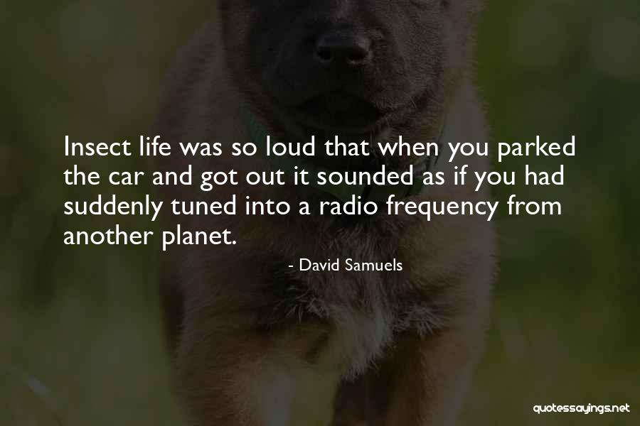 Stipulating Evidence Quotes By David Samuels Stipulating Evidence Quotes By David Samuels