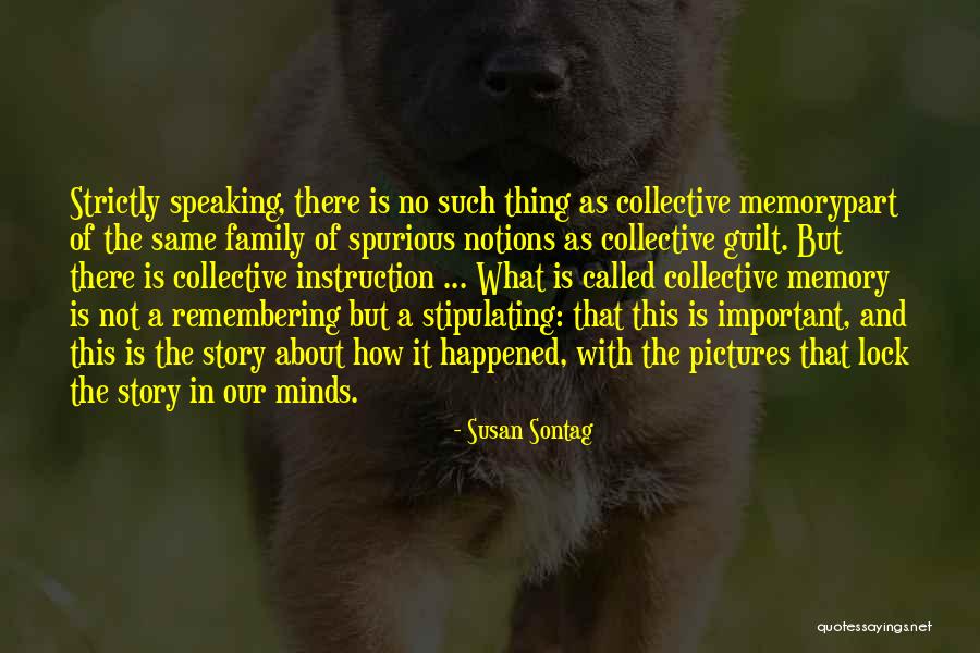 Stipulating Quotes By Susan Sontag Stipulating Quotes By Susan Sontag