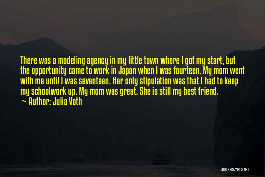 Stipulation Quotes By Julia Voth