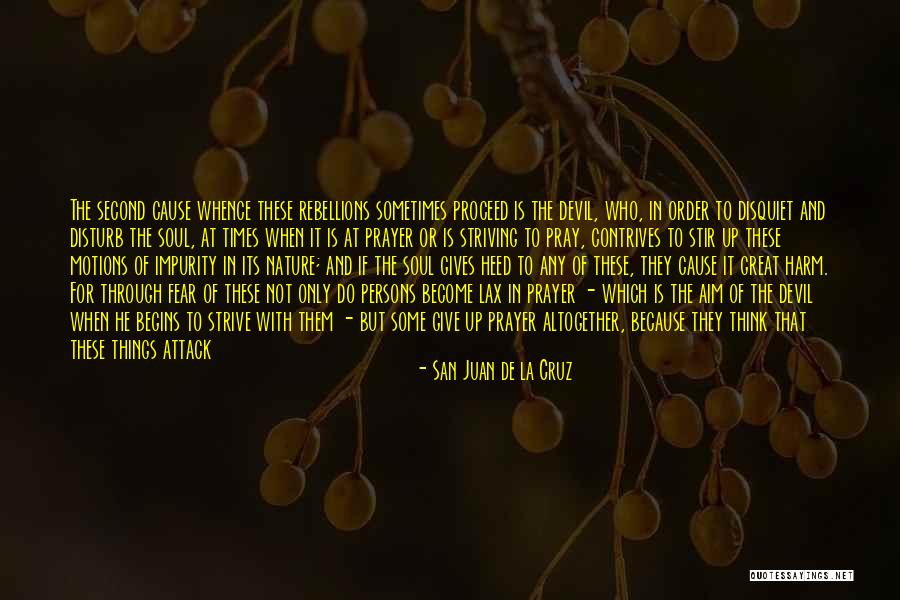 Stir Things Up Quotes By San Juan De La Cruz