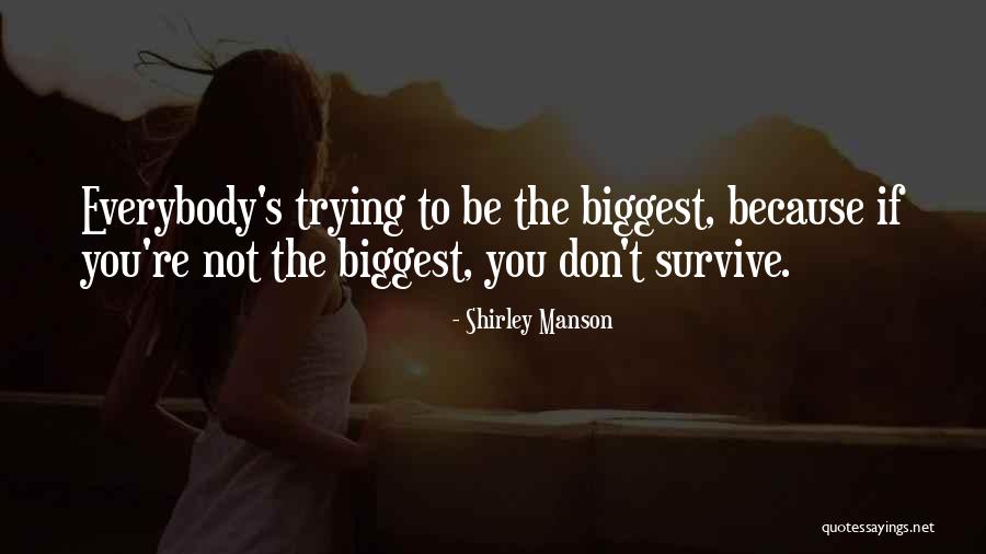 Stirewalt Quotes By Shirley Manson Stirewalt Quotes By Shirley Manson