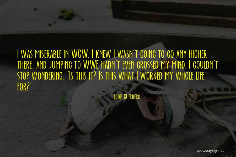 Stirrer Chemistry Quotes By Eddie Guerrero Stirrer Chemistry Quotes By Eddie Guerrero