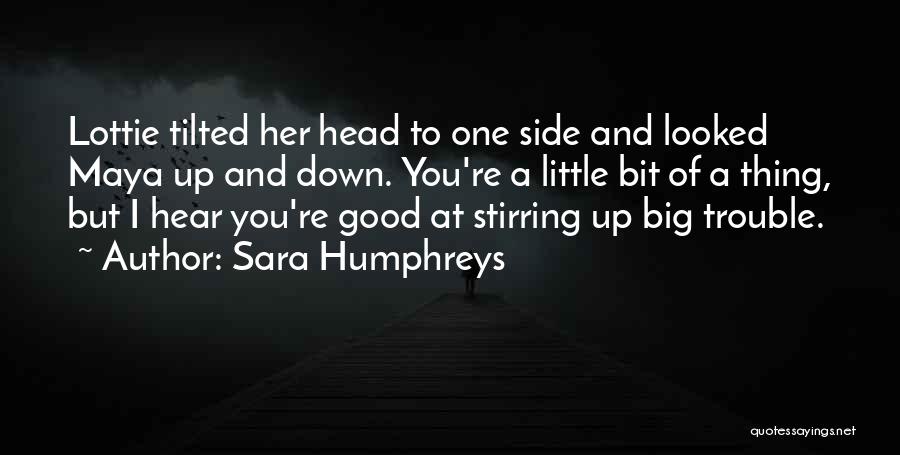 Stirring Up Trouble Quotes By Sara Humphreys