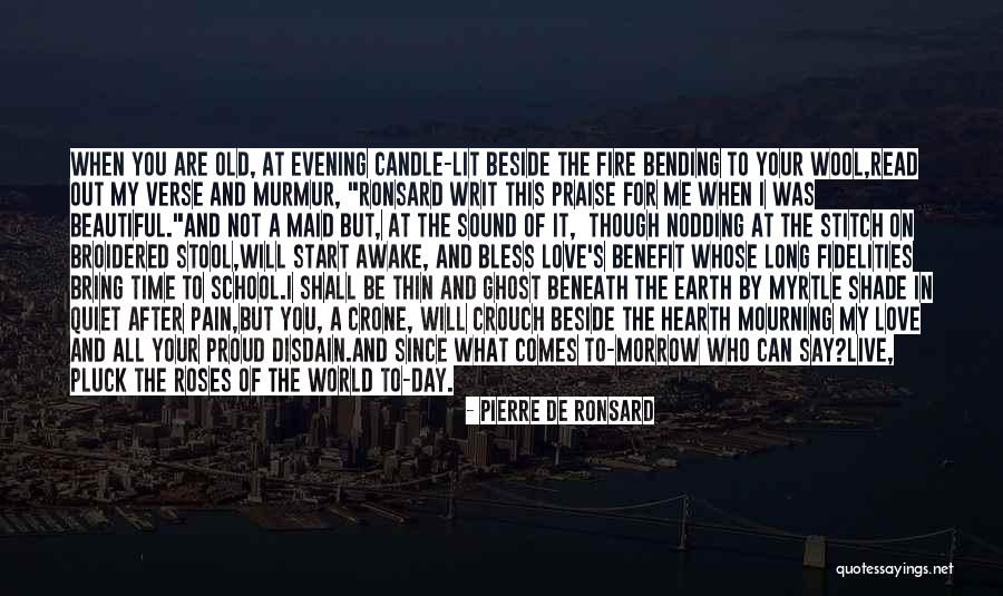 Stitch Quotes By Pierre De Ronsard Stitch Quotes By Pierre De Ronsard