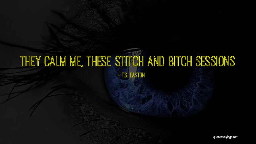 Stitch Quotes By T.S. Easton