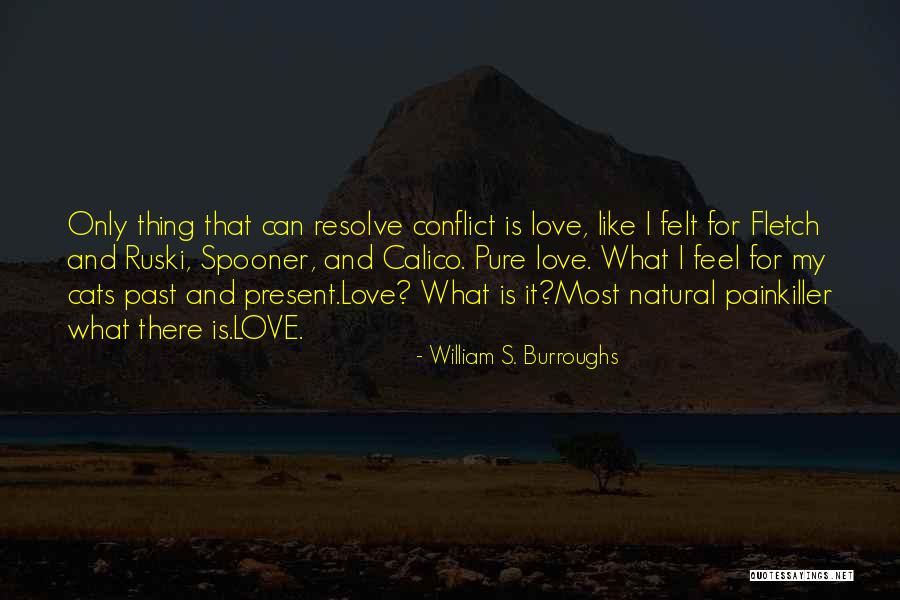Stiverne Boxer Quotes By William S. Burroughs Stiverne Boxer Quotes By William S. Burroughs