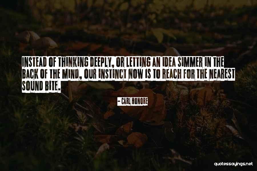 Stiving Quotes By Carl Honore Stiving Quotes By Carl Honore